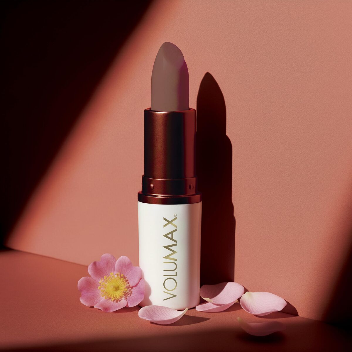 V2H522ED2079E881B96F12542EA42311AC8R7706970P6