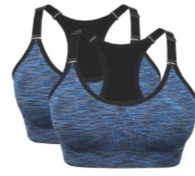 Extra Support Sports Bra